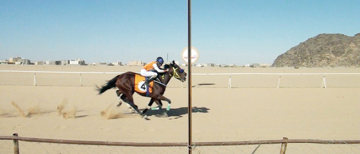 فروسية نجران تنظم سباقها الخامس عشر للموسم الحالي 