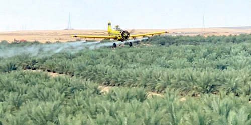  طائرة الرش الزراعية خلال عملها لمكافحة الجراد الصحراوي