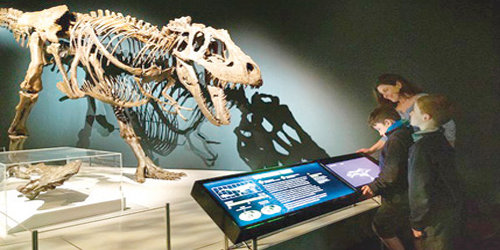 التيرانوصورات أطاحت خلال نموها بأجناس ديناصورات أصغر حجمًا 
