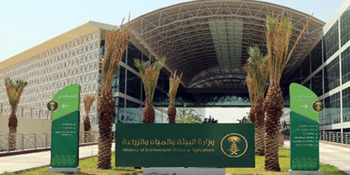 «فرص استثمارية لمدينة الفل» ورشة عمل للبيئة في جازان 