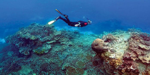 تقنيات لتأخير زوال الحاجز المرجاني 