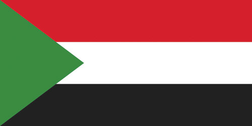 الدبلوماسية السعودية تنجح في جمع فرقاء السودان 