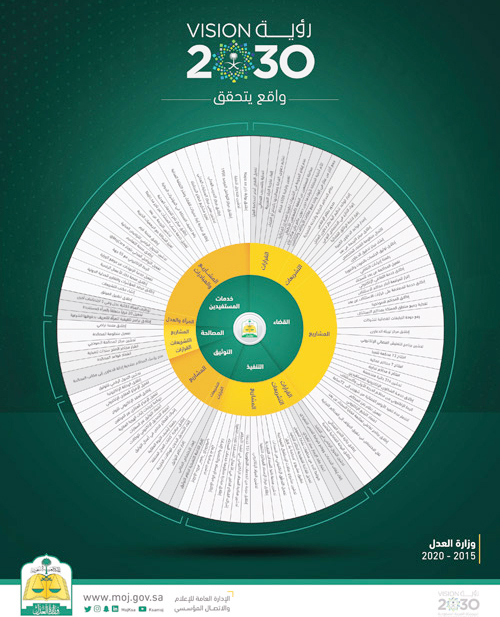 قضاء مؤسسي وتحول رقمي ومحاكم متخصصة 