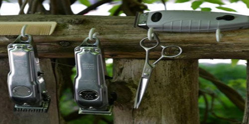 حلاّق سنترال بارك.. عنصر جذب جديد 