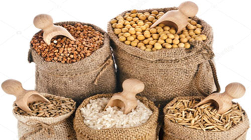 أفضل خمسة أنواع من الحبوب لصحة الأمعاء 