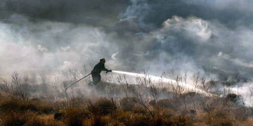 قبرص تعلن السيطرة على حريق الغابات 