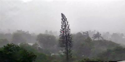 «إلسا» تشتدّ وتصبح إعصاراً مع اقترابها من فلوريدا 