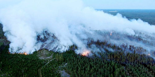 فنلندا تكافح أسوأ حريق غابات منذ خمسين عاماً 