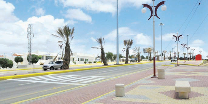 «السودة للتطوير» توقع مذكرة تفاهم مع المركز الوطني لتنمية الغطاء النباتي ومكافحة التصحر 