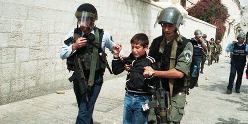 دعت المجتمع الدولي إلى تنفيذ قرارات الشرعية الدولية الخاصة بالقضية الفلسطينية 