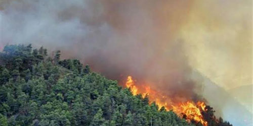 عمليات إجلاء في اليونان بعد تجدد حرائق الغابات 