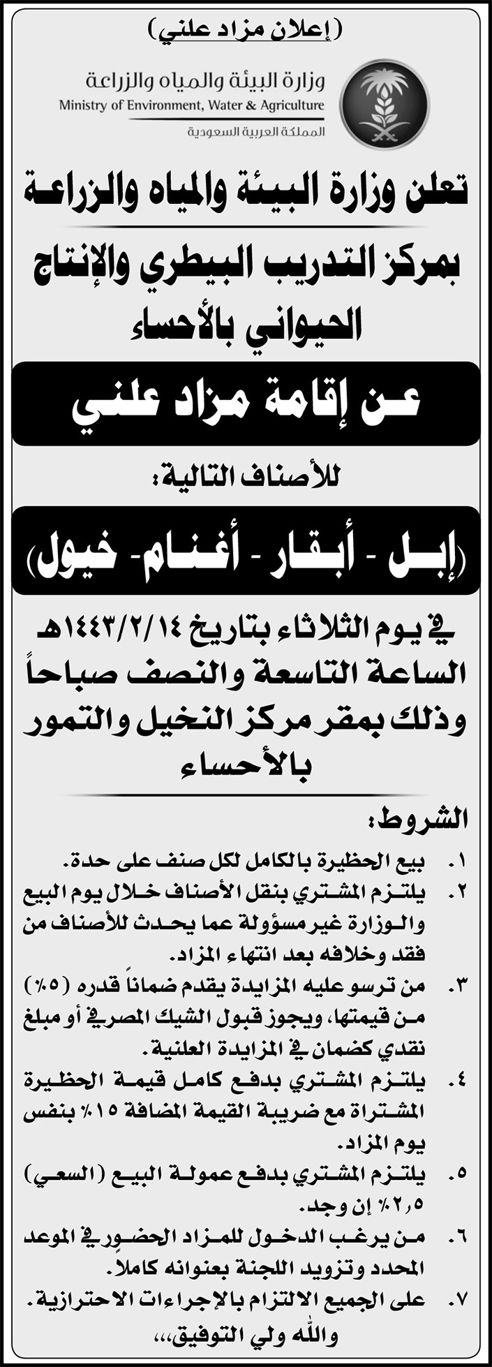 وزارة البيئة والمياه والزراعة بمركز التدريب البيطري والإنتاج الحيواني بالأحساء تعلن عن إقامة مزاد علني للأصناف: (إبل - أبقار - أغنام - خيول) 