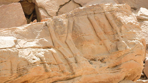 منحوتات الجمال الصخرية في السعودية تعود لأكثر من 7 آلاف سنة 