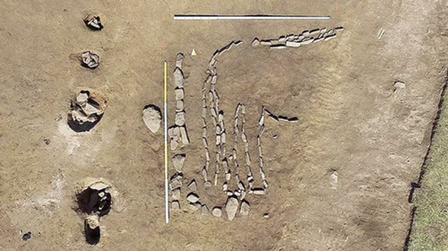 اكتشاف رسم بالحجارة لثور في سيبيريا عمره 4000 عام 