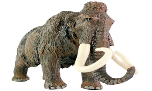 علماء: تغير المناخ المفاجئ أدى لانقراض فيلة الماموث 