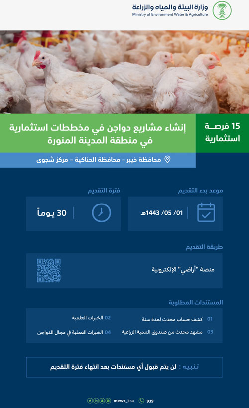 «البيئة» تطرح 15 فرصة استثمارية لمشاريع الدواجن في المدينة المنورة 