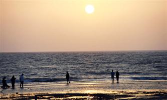 زراعة 69 ألف متر مربع من المسطحات الخضراء بالشقيق 