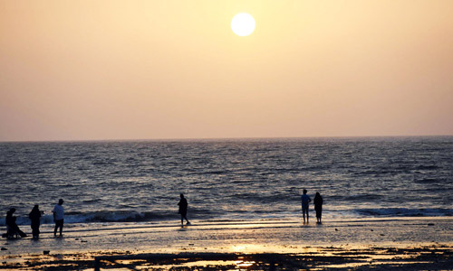 زراعة 69 ألف متر مربع من المسطحات الخضراء بالشقيق 