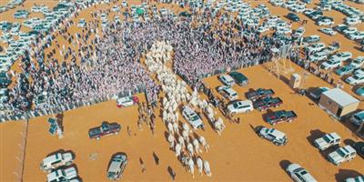 انطلاق فعاليات مهرجان الملك عبدالعزيز للإبل.. اليوم 