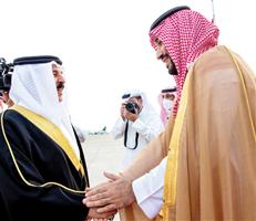 ولي العهد بحث مع ملك البحرين التطورات الإقليمية والدولية 