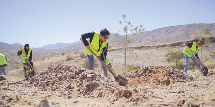 «السودة للتطوير»: إطلاق المرحلة الأولى لمبادرة «مليون شجرة» 