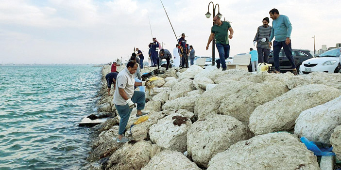  لقطات من المبادرة