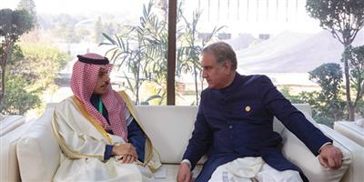 وزير الخارجية يلتقي نظيره الباكستاني 