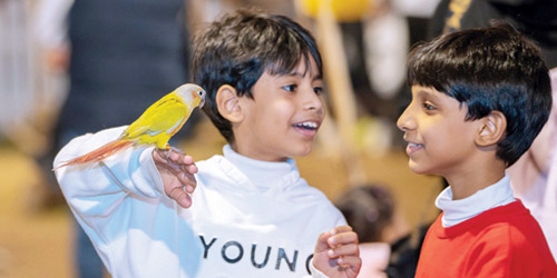 يوميات الموسم 