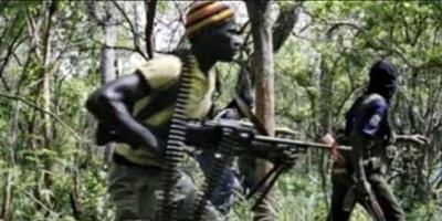 مقتل 4 عسكريين و12 متمردًا في معارك شرق الكونغو 