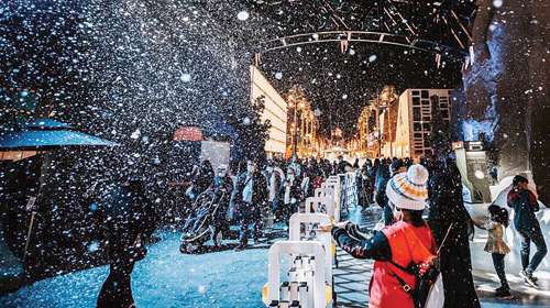 يوميات الموسم 