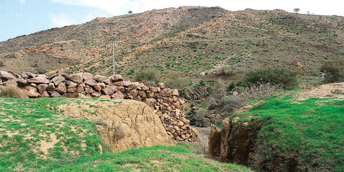 سدود الطائف.. نماذج معمارية تعود إلى مئات السنين 