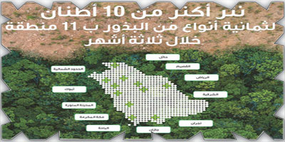 نثر أكثر من 10 أطنان من البذور في 11 منطقة حول المملكة 