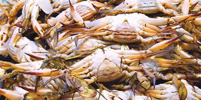 «الشرقية» تغذي أسواق المملكة بـ 700 ألف طن من الأسماك والروبيان 