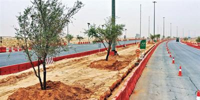 أمانة الرياض تزرع 3 آلاف شجرة خلال أسبوع 