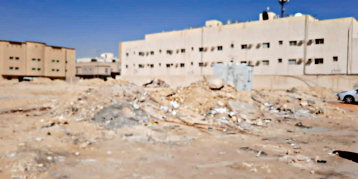 عدسة «الجزيرة» ترصد 