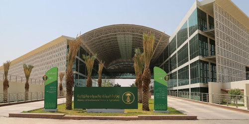 «البيئة» تنجح في اكتشاف وتطوير لقاح لتحصين الماشية ضد أمراض الخراريج 