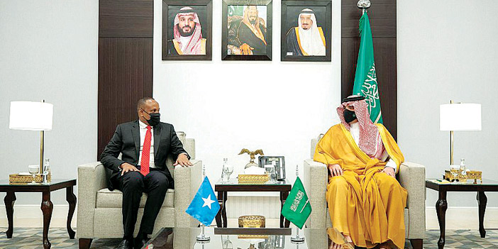الأمير عبدالعزيز بن سعود تباحث مع وزير الأمن الداخلي بالصومال 