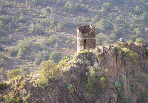 السودة.. سياحة عالمية 