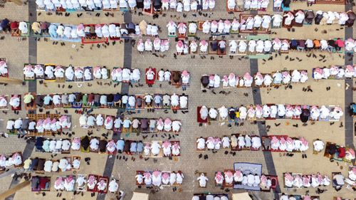  تصوير - محمد الشريف