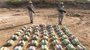إحباط تهريب (760) كيلو حشيش و(45) طناً من القات والقبض على المتورطين 
