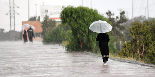  هطول الأمطار على منطقة عسير