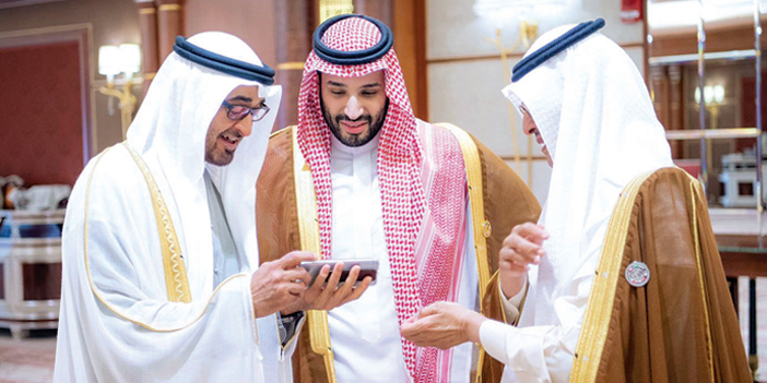ولي العهد وحديث ودي مع رئيس الإمارات بحضور الأمير عبدالعزيز بن سلمان