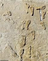 اكتشاف آثار أقدام يعود تاريخها إلى 12000 عام 