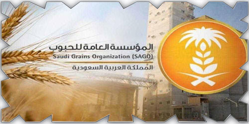 «الحبوب» ترسي الدفعة الأخيرة من القمح في مبادرة الاستثمار الزراعي في الخارج 
