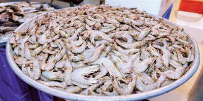 أسواق بيع الأسماك بالمنطقة الشرقية تشهد وفرة صيد الروبيان 