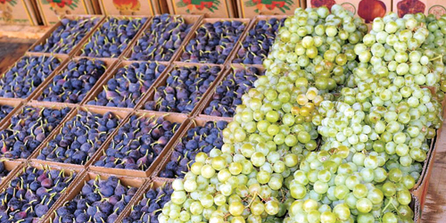  التين الطائفي