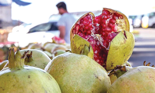 أودية الباحة تحتضن 700 ألف شجرة رمان 