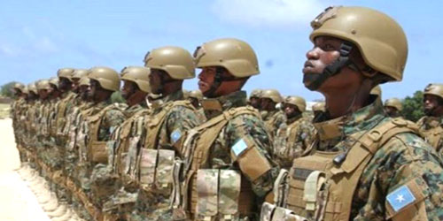 الجيش الصومالي يقضي على عناصر إرهابية 