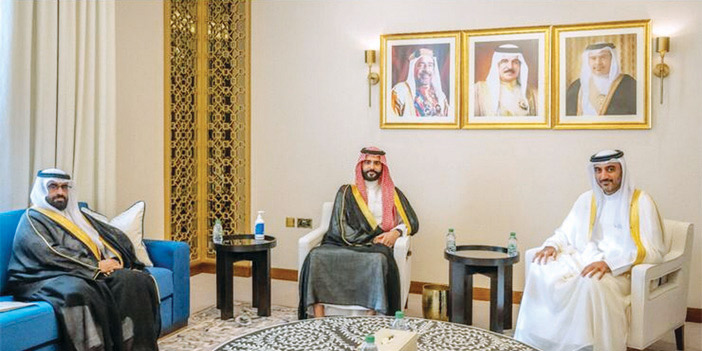 الأمير سلطان بن أحمد يلتقي وزير شؤون مجلس الوزراء البحريني 