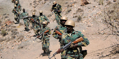 مقتل وإصابة 11 جنديًا في هجوم مسلح بجيبوتي 